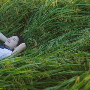 麻豆天美果冻星空国产
