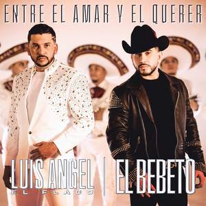 麻豆天美果冻星空国产
